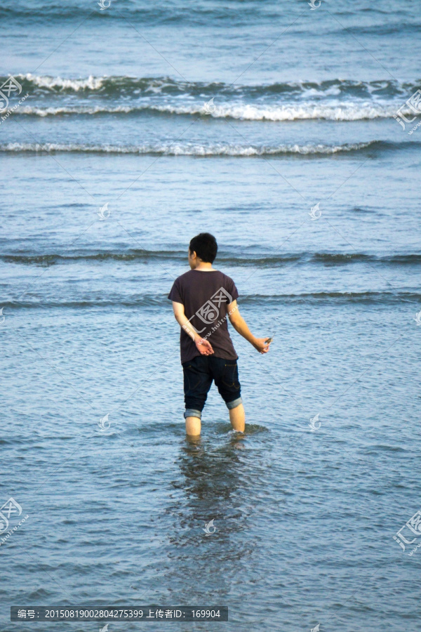 海水,拾贝壳,男孩背影