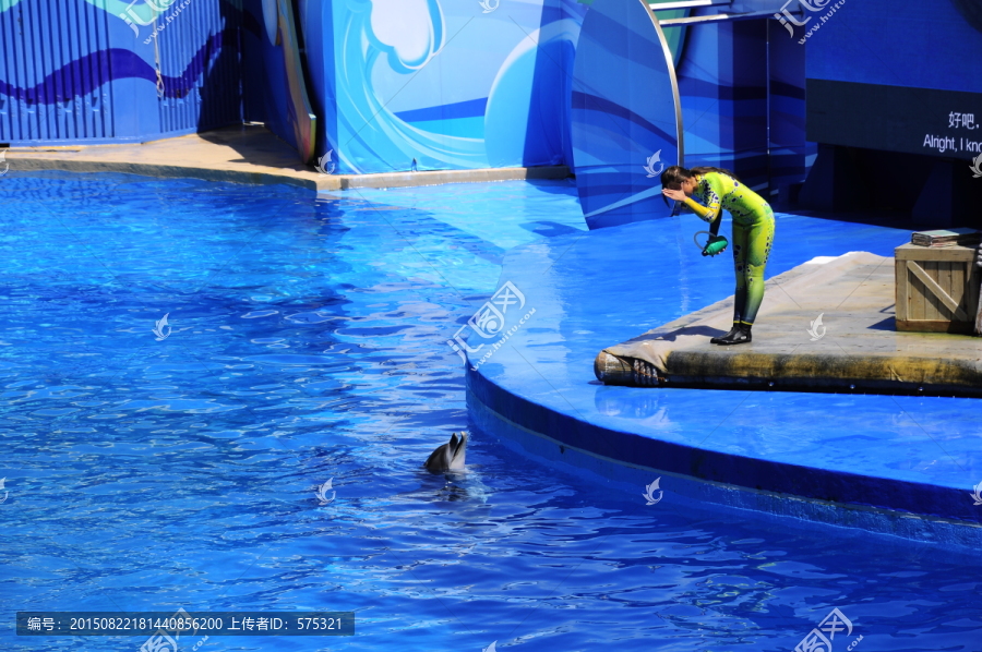 海豚表演,海洋公园