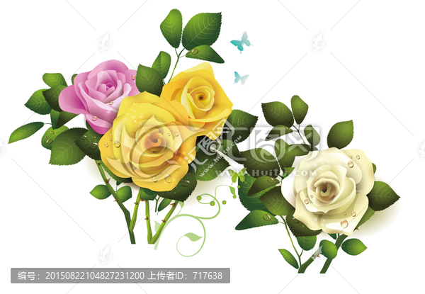 月季花