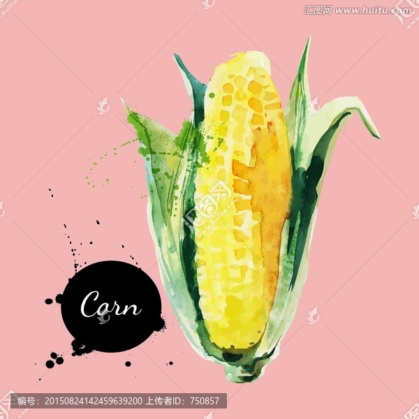 蔬菜