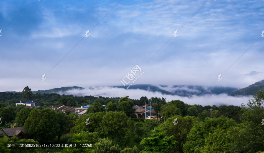 景迈茶山