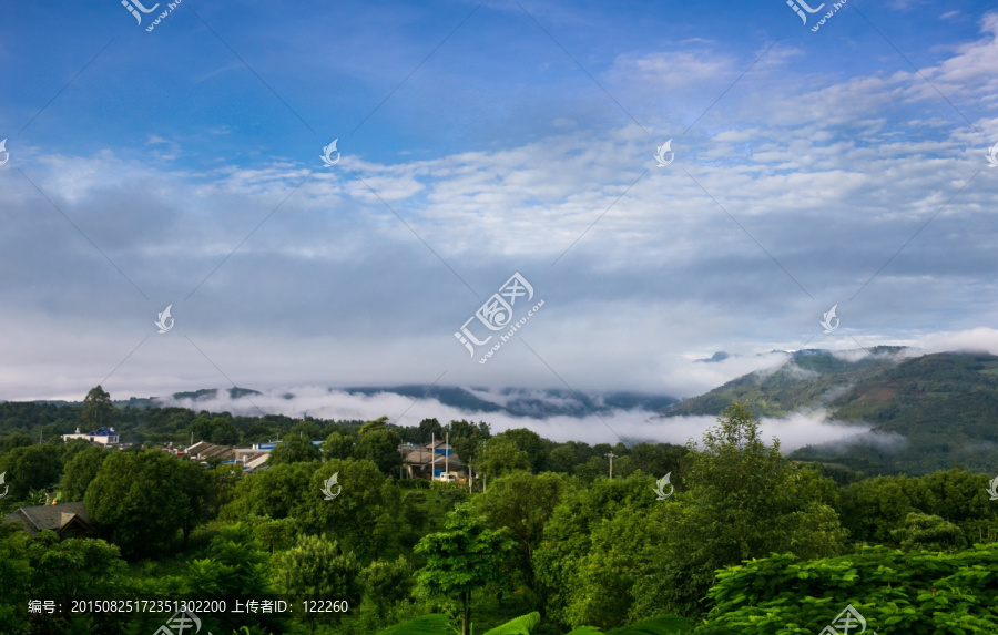 景迈茶山（高清）