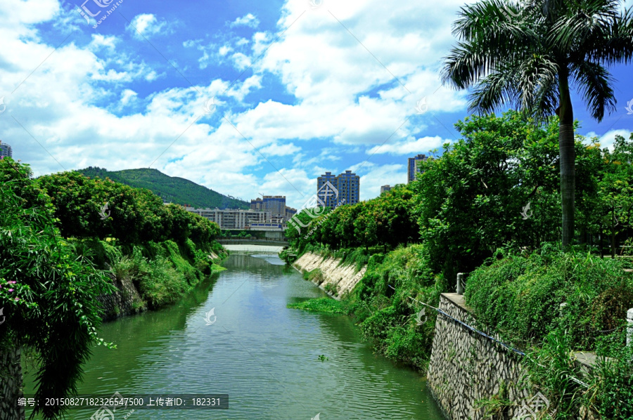 绿色河道绿化景观