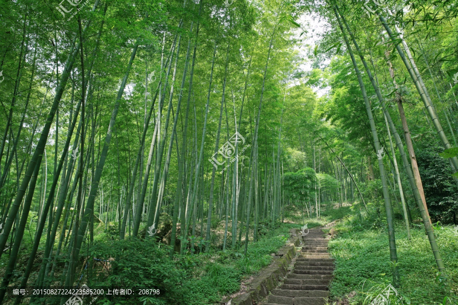 登山步道