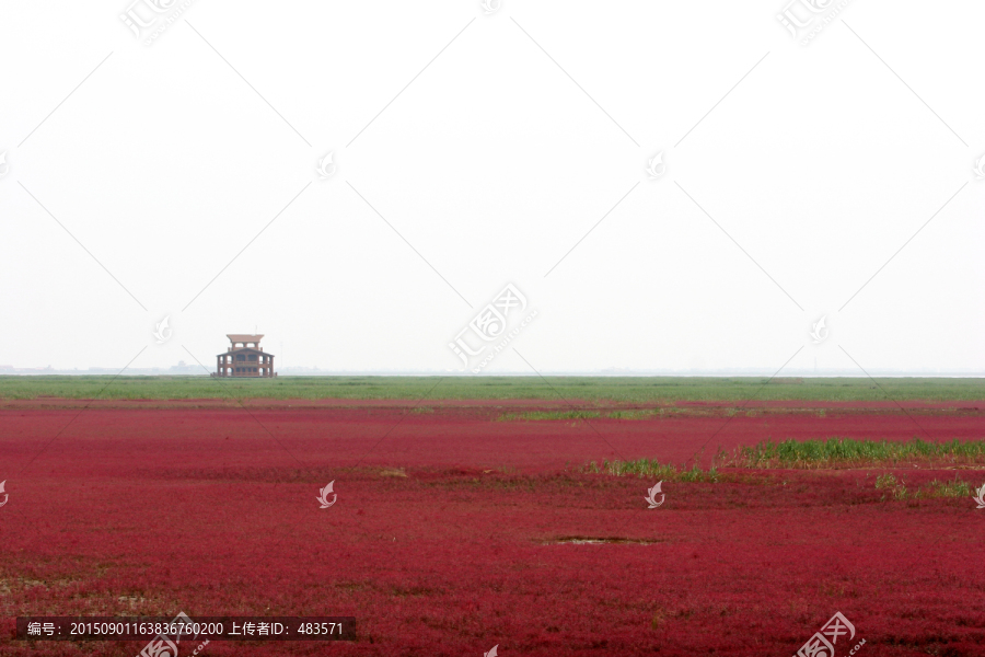 红海滩