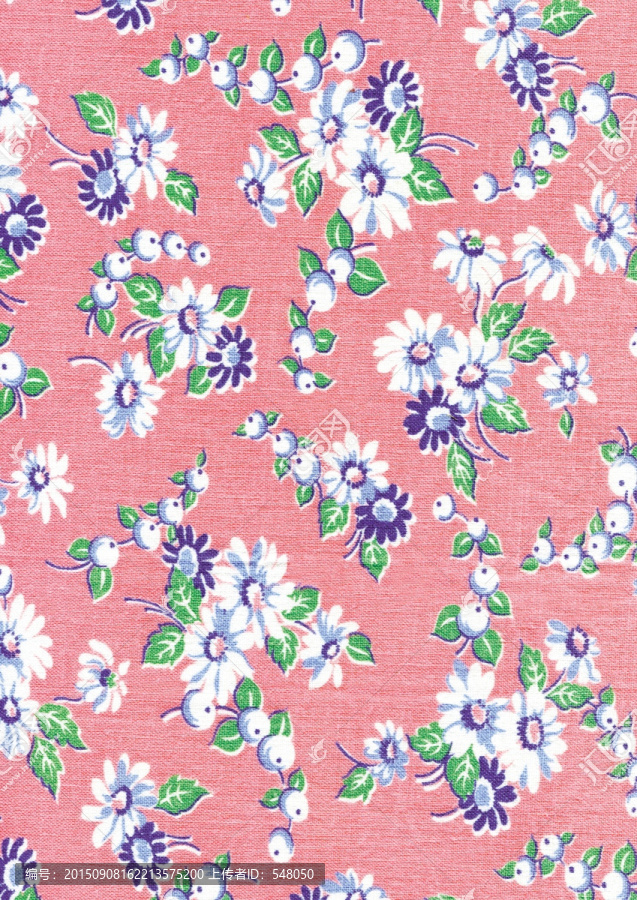 太陽(yáng)花