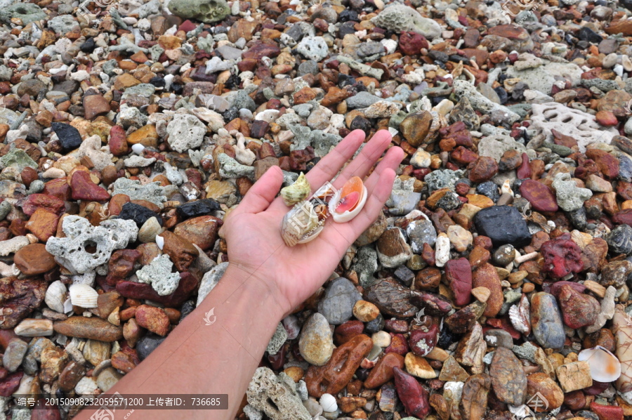 沙滩鹅卵石