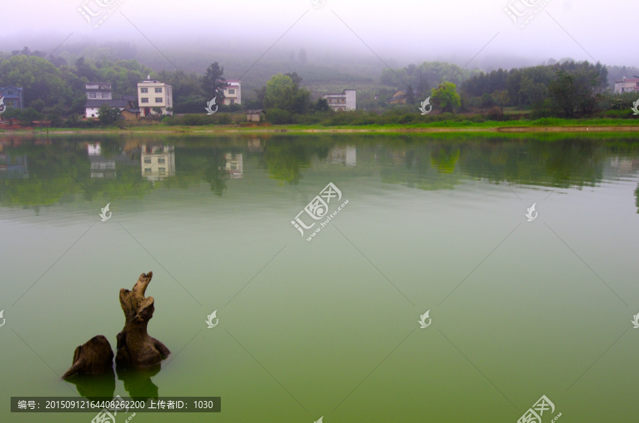 在水一方