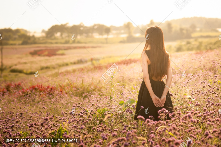 花海里的少女