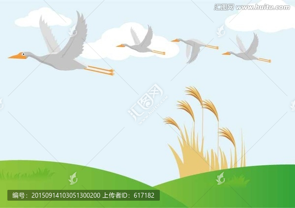 大雁往南飛,大雁,茅草