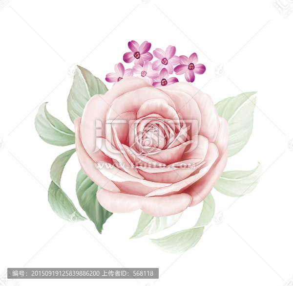 水彩朵花