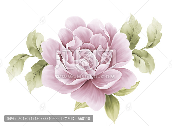 粉色朵花
