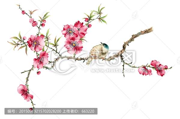 桃花鳴鳥(niǎo)