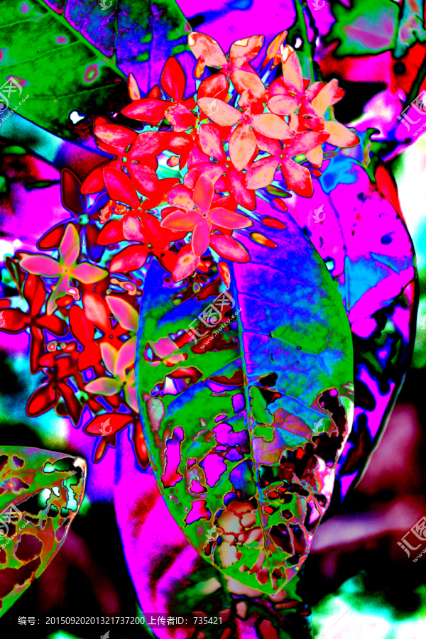 紅花綠葉
