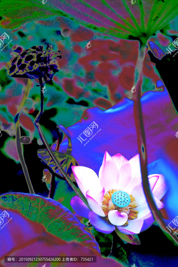 蓮花