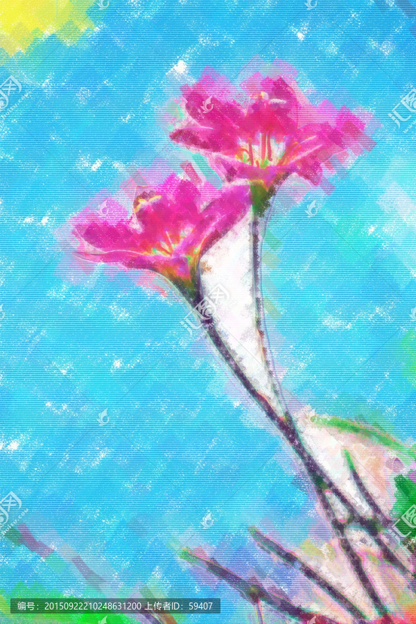 清新裝飾畫,韭蘭花