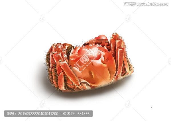 手繪大閘蟹