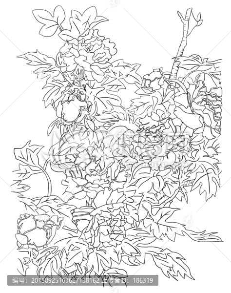 花開富貴