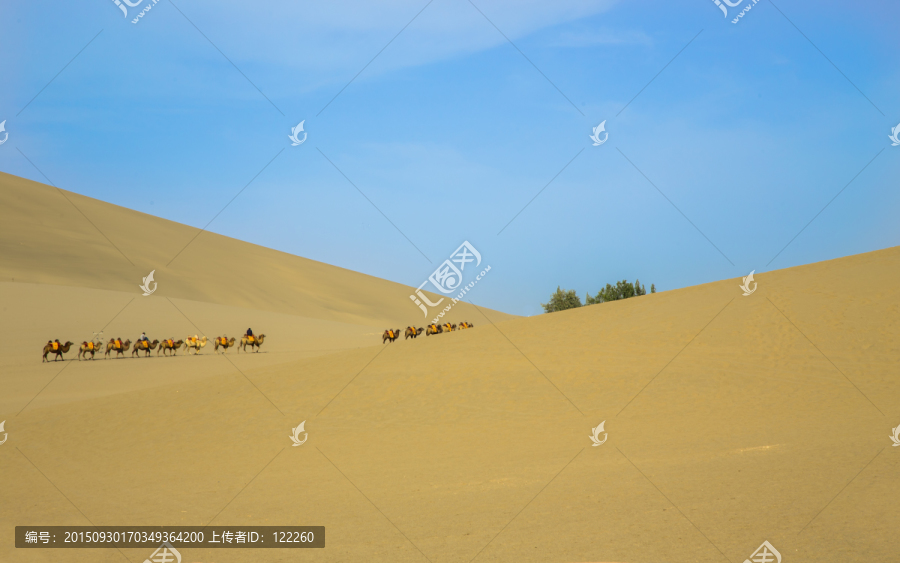 鸣沙山,沙漠骆驼