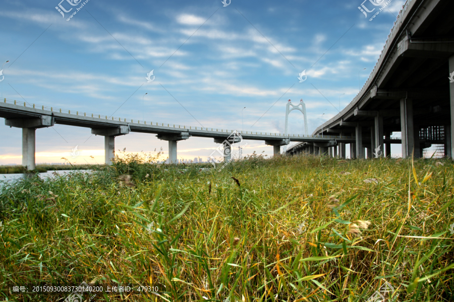 大庆,湿地,高架桥