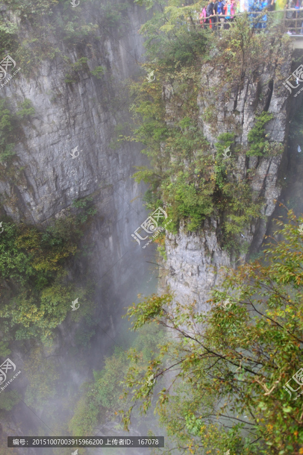 悬崖峭壁,森林植被