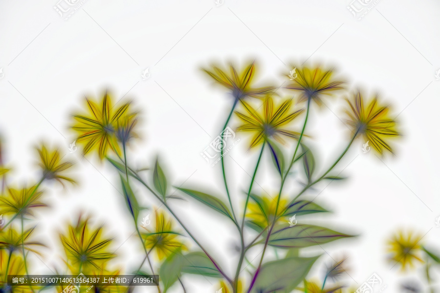 抽象畫,唯美花