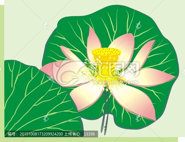 荷塘秋色2