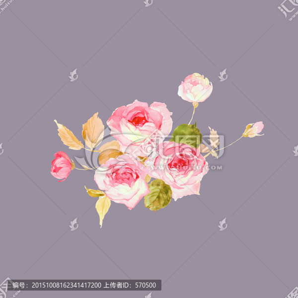手繪,玫瑰,花卉,印花