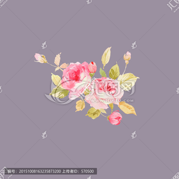 手繪,玫瑰,花卉,印花