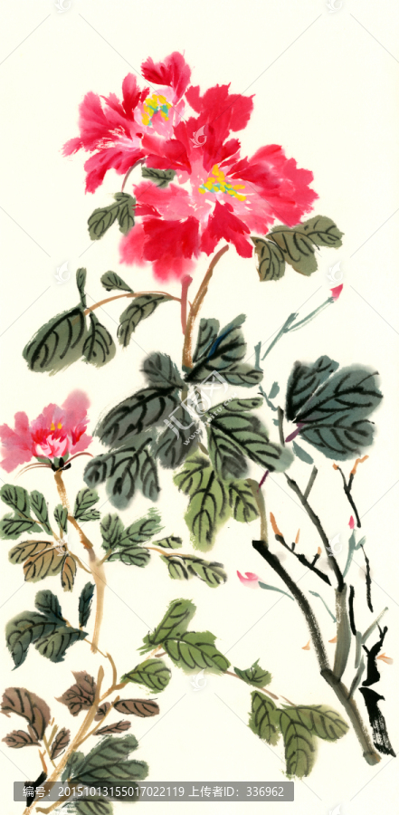 國(guó)畫牡丹