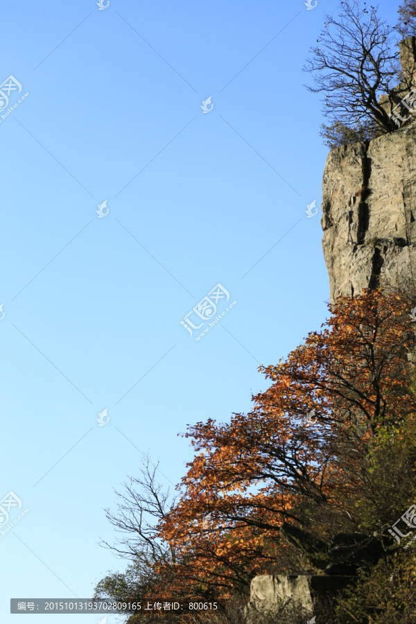 泰山风景