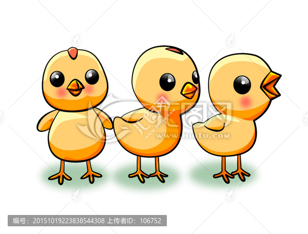 小雞,小黃雞,雞崽