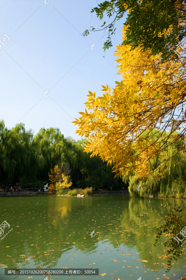 北京大学未名湖秋色