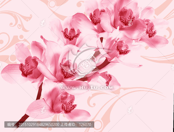花卉設(shè)計(jì)