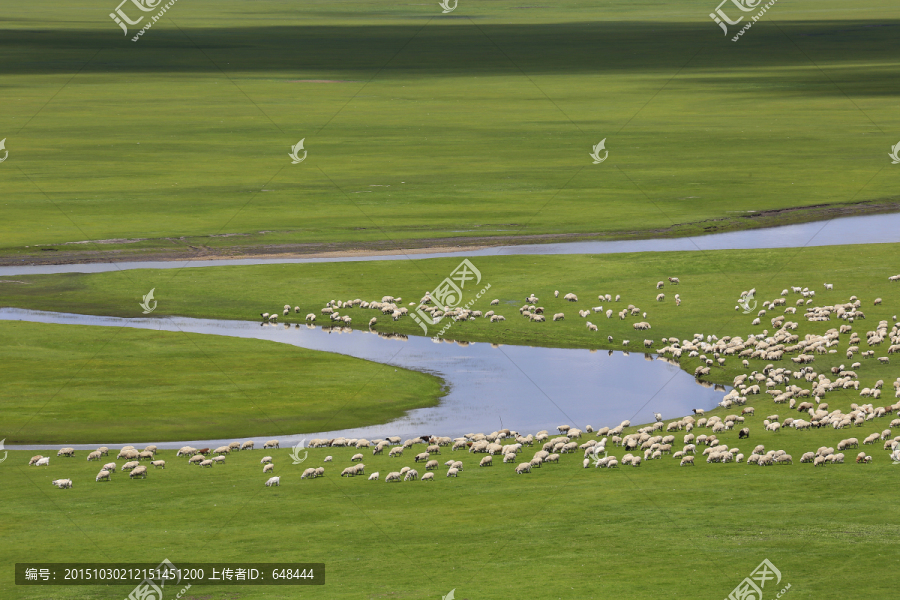 草原河畔的羊群