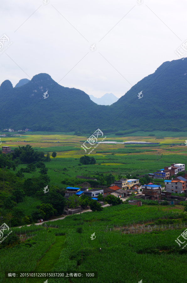 美丽乡村,乡村风景,田园风光