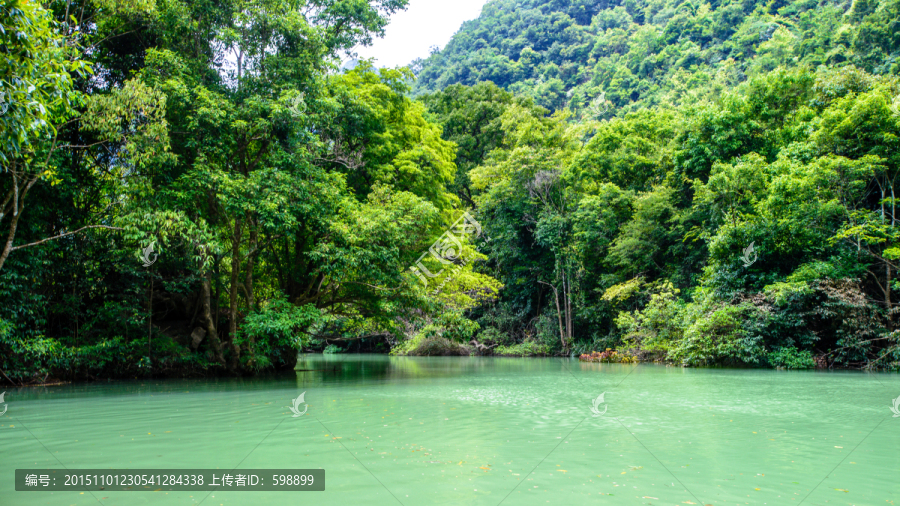 河岸森林