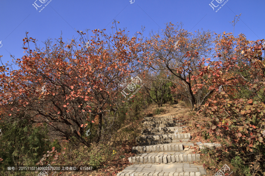 北京红叶岭