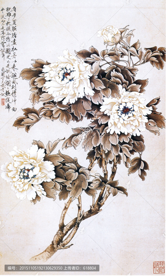 花鳥國畫,白牡丹