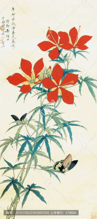 花鸟国画,红秋葵