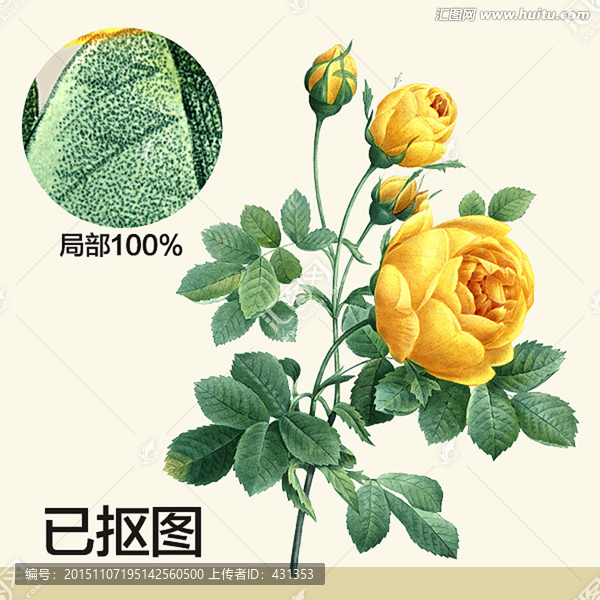 手繪花型