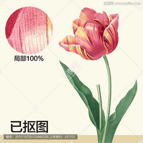 手繪花卉