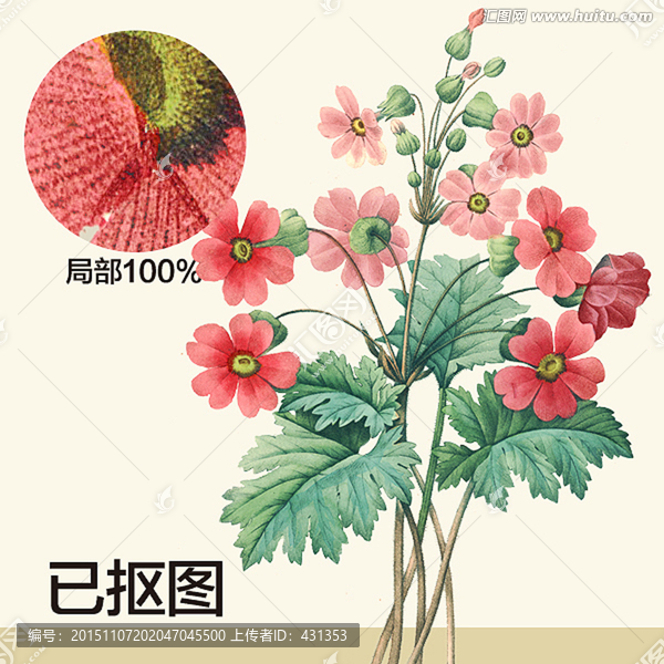 手繪花卉