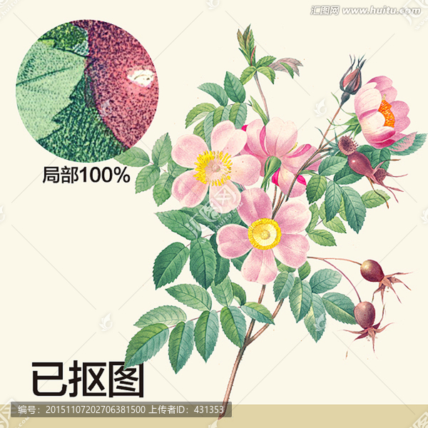 手繪石榴花