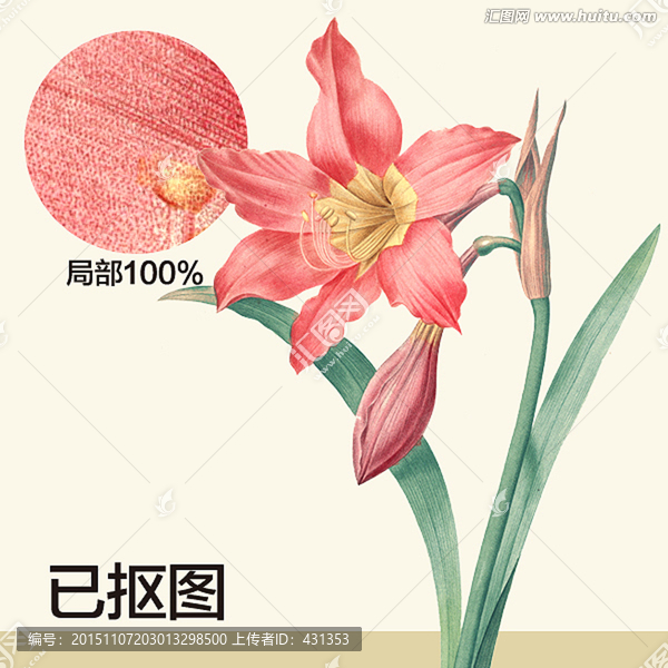 手繪百合