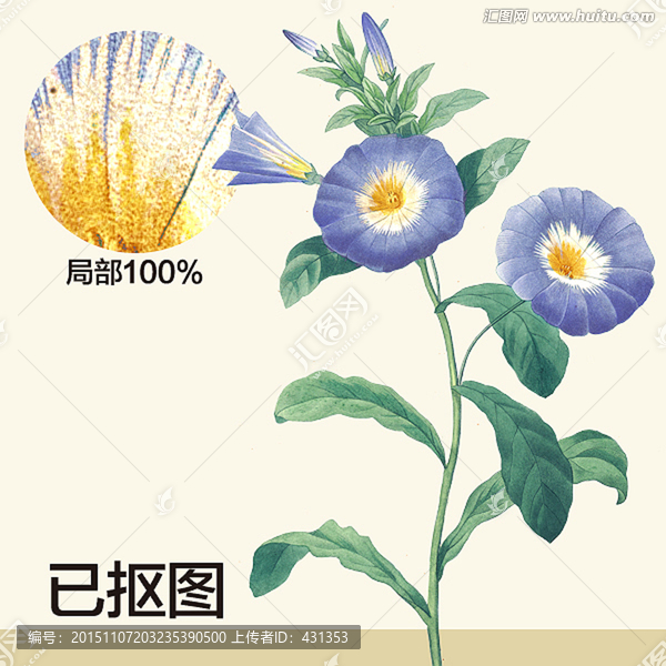 手繪花