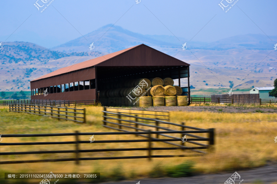 美国西部农牧业