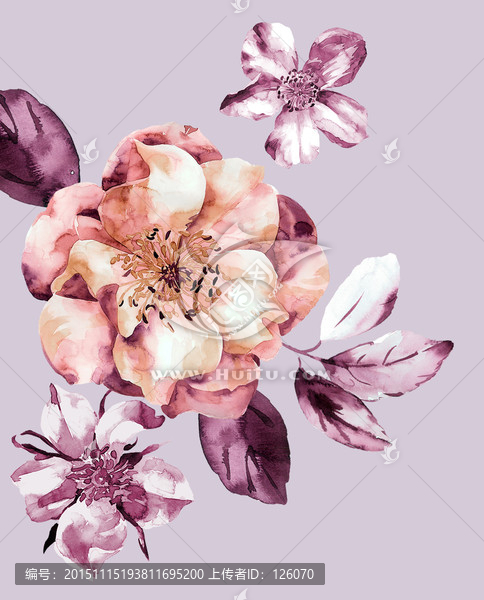 花卉
