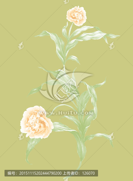 花卉素材