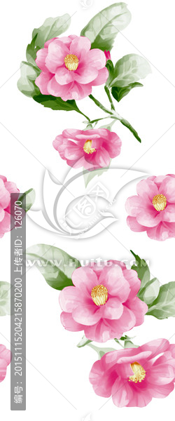 花卉素材